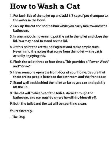 360095416_839113277572528_4865870025721108998_n