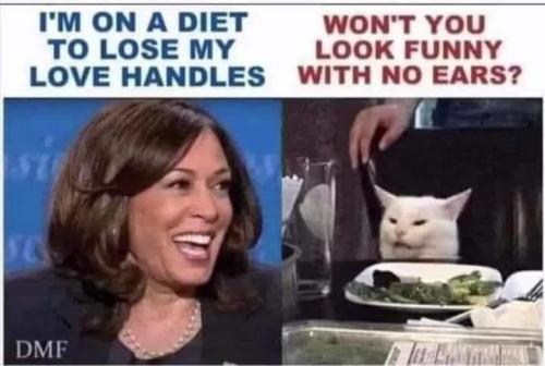 I'm on a diet to lose my love handles