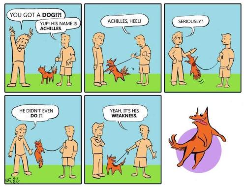 you got a dog