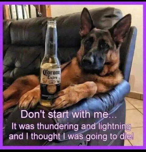 FB_IMG_1689560093237