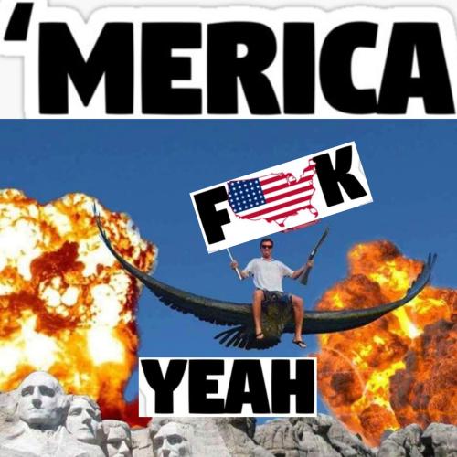 'MERICA FK YEAH