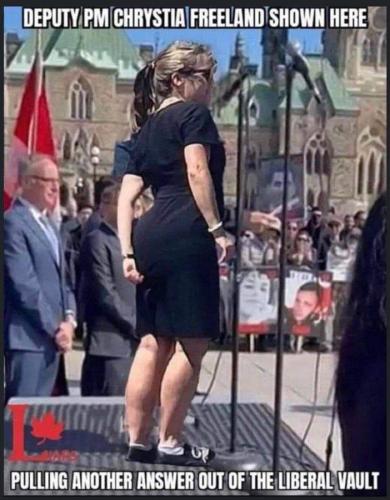 photo_2023-07-15_17-59-50