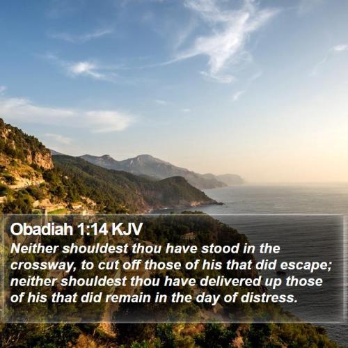 Obadiah 1_14