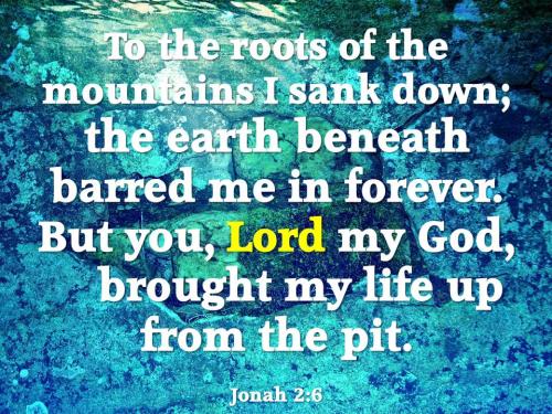 Jonah 2_6