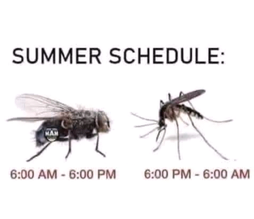 Screenshot_2023-07-20-17-18-15_kindlephoto-54051781