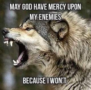 FB_IMG_1689025577959