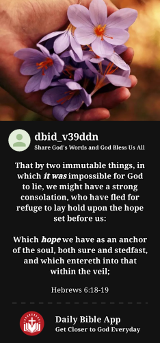 2023-07-271690499782693