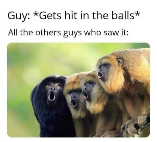 FB_IMG_1689355218863