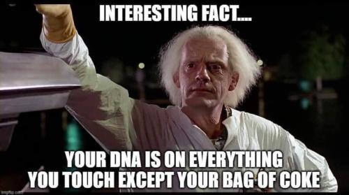 Hahahahha crack of shitheads