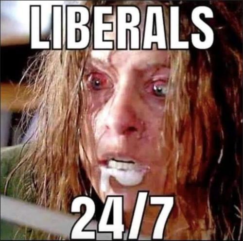 liberals329