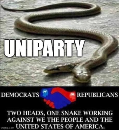 Uniparty Snake 2