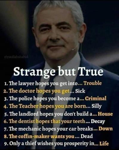 FB_IMG_1690305208786