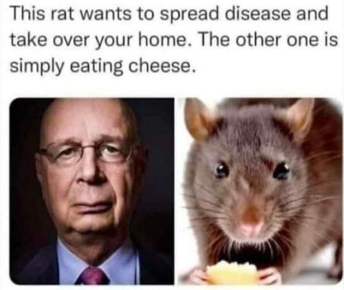 FB_IMG_1688964535977