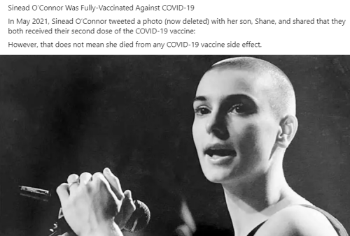 Screenshot 2023-07-29 203807