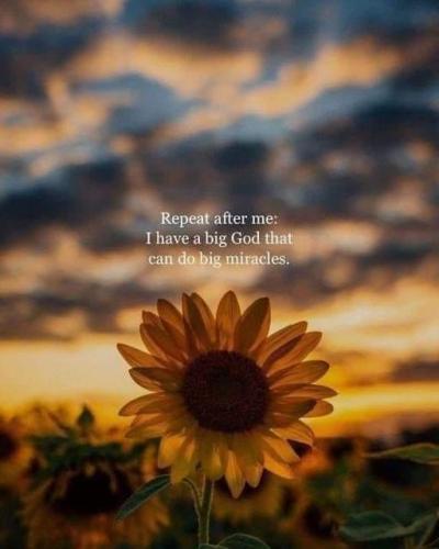 a95b8c02-8052-4ec8-a768-4623ee45b507