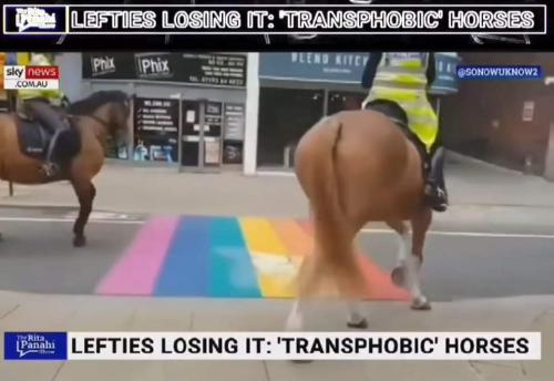 FB_IMG_1689007970633