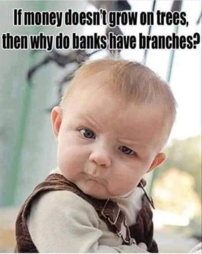 FB_IMG_1689510224551