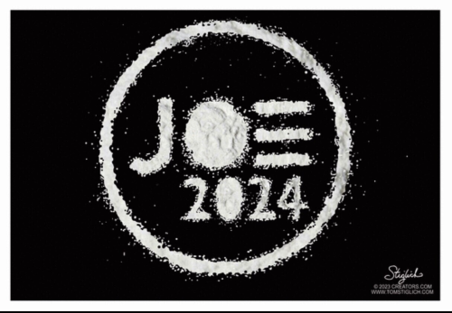 Joe 2024