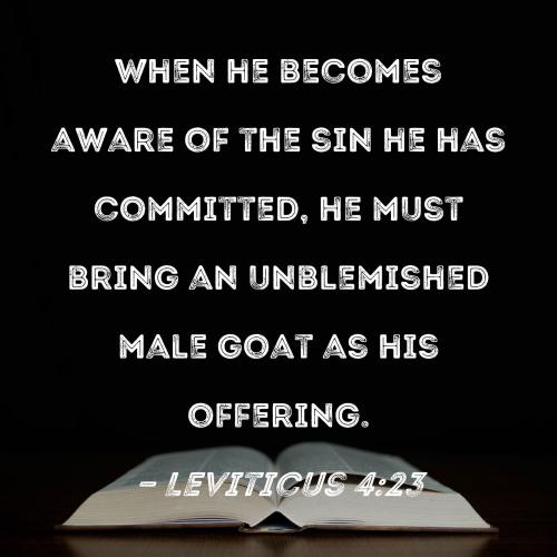 Leviticus  4_23