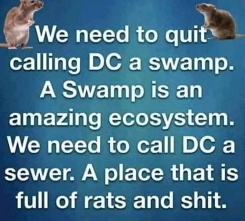 FB_IMG_1689766659018