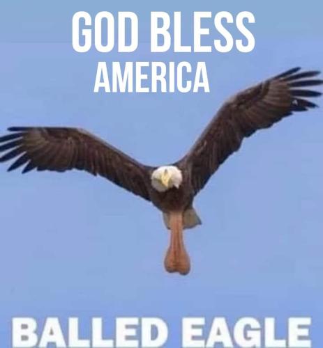 FB_IMG_1688499427242