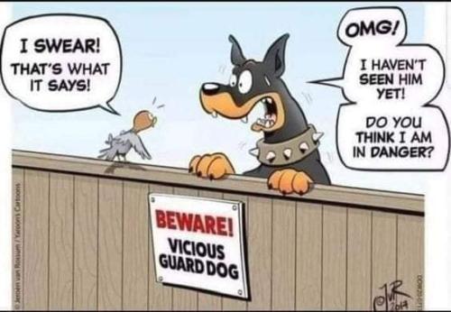 357461514_667565888737396_7786695246232778290_n