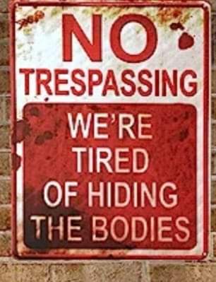 FB_IMG_1689002540259