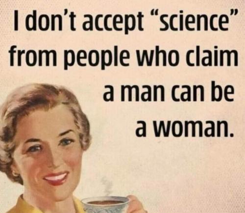 FB_IMG_1689435238637