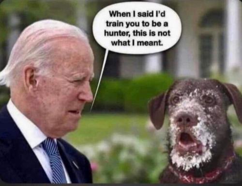 Screenshot_20230730_183034_Quora