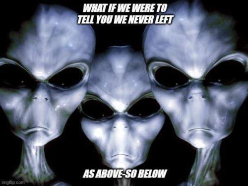 FB_IMG_1690413330447