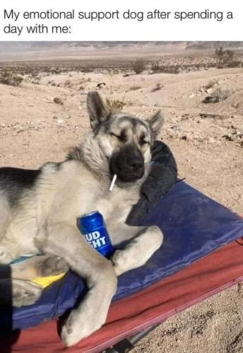 356228758_3572186916436172_174887327490972381_n