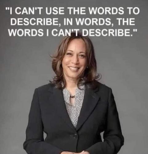 FB_IMG_1690552896870