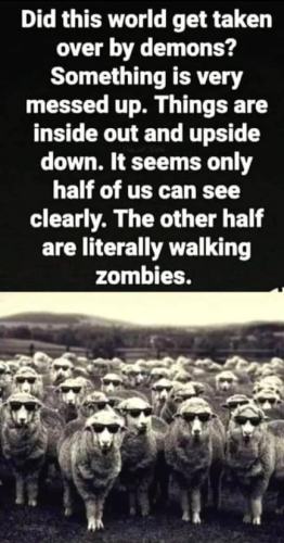 Screenshot 2023-07-10 164136