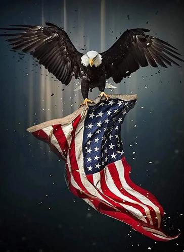 71DhrBvz5wL._AC_UF1000,1000_QL80_FMwebp_~2