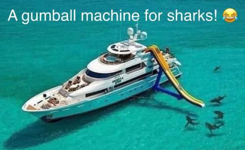 FB_IMG_1689377654086