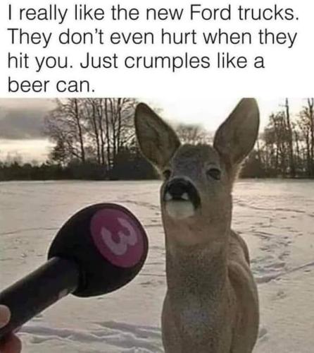 FB_IMG_1690131145998