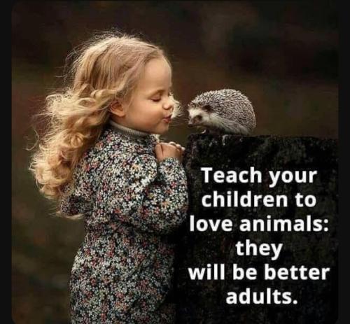 Screenshot_20230723_125326_YouTube