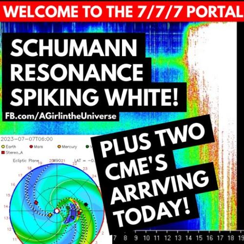 282665811_28694591700