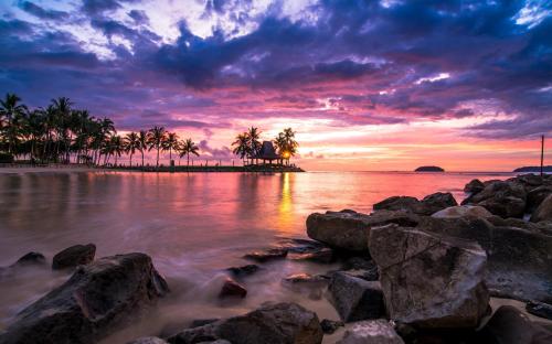 Tropical Sunset rocks and palm trees