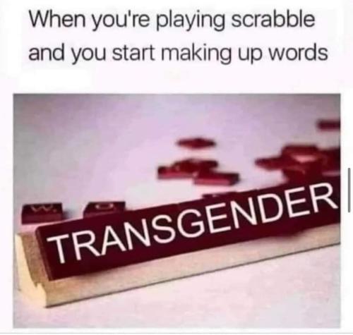 FB_IMG_1688663867822