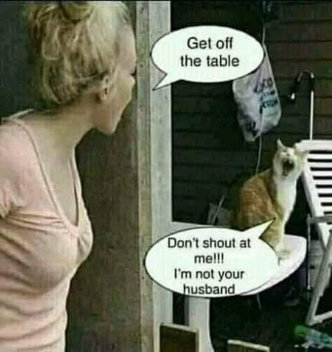 65497970_910561815949120_1970266008807538688_n