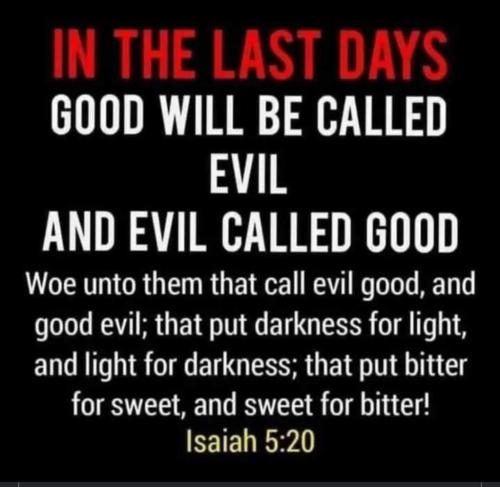 f1082e72-82b3-4b8a-a29e-2abbb2b1d459