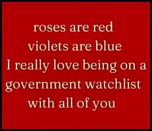 FB_IMG_1689429316155