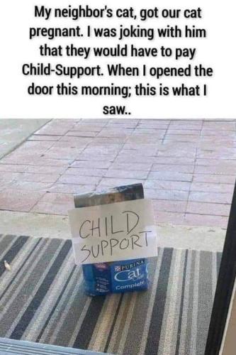 child support