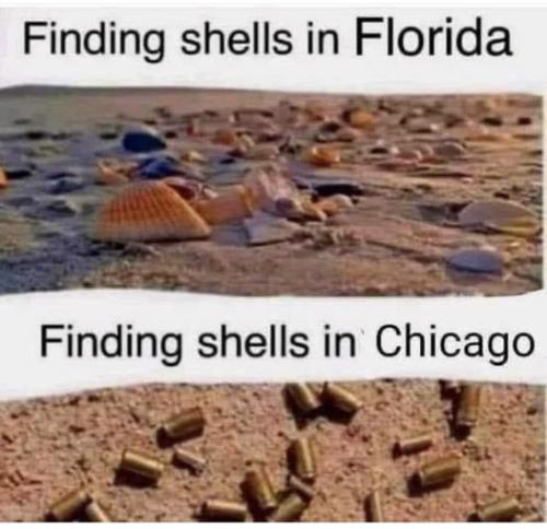 357033583_3525785294369350_5729805737201545270_n