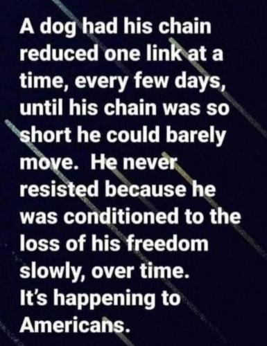 FB_IMG_1690338261067