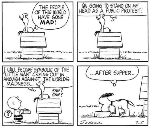 358133941_819050512913131_1154480384074408759_n