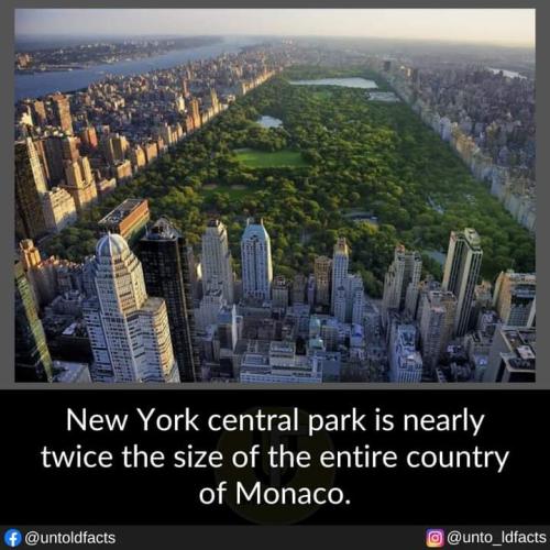 FB_IMG_1690395775995