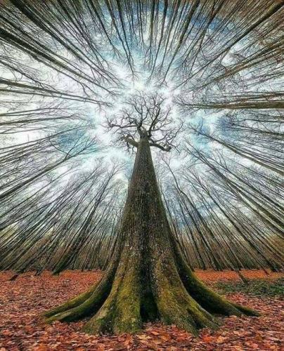 282665811_28694591700