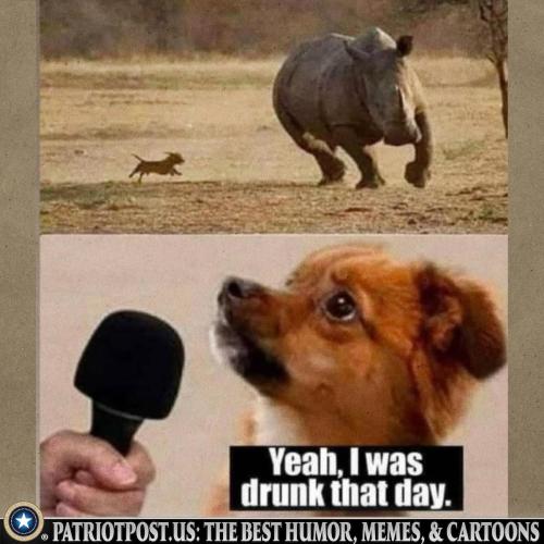 ya I was drunk